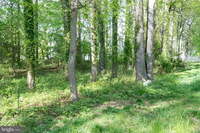 4785 Mountain Road, Pasadena, MD 21122 - Photo 16