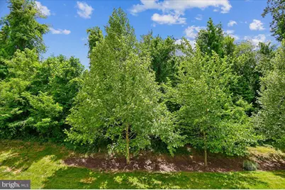 8261 Kippis Road, Millersville, MD 21108 - Photo 54