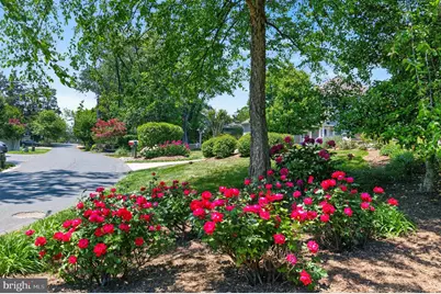3650 Bay Drive, Edgewater, MD 21037 - Photo 50