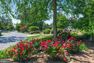 3650 Bay Dr, Edgewater, MD 21037 - Photo 50