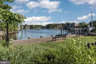 66 Franklin St, Annapolis, MD 21401 - Photo 42