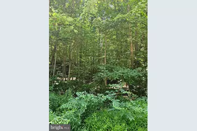 Herald Harbor Rd, Crownsville, MD 21032 - Photo 6