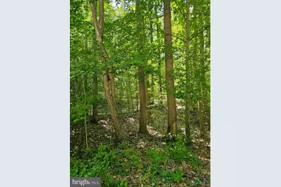 Herald Harbor Rd, Crownsville, MD 21032 - Photo 8
