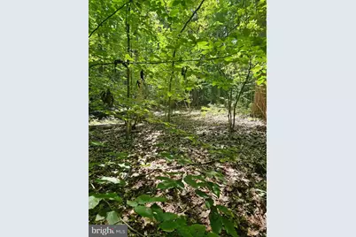 Herald Harbor Rd, Crownsville, MD 21032 - Photo 10