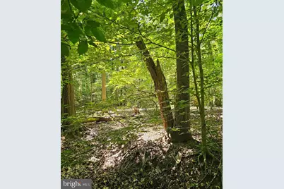 Herald Harbor Rd, Crownsville, MD 21032 - Photo 1