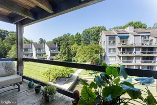 3 Spa Creek Landing, Annapolis, MD 21403 - Photo 24