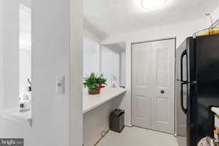 8036 Abbey Ct, Pasadena, MD 21122 - Photo 14
