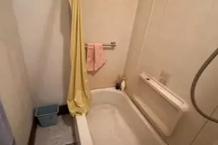 309 Doris Ave, Baltimore, MD 21225 - Photo 20