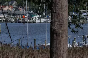 1024 Old Turkey Point Rd, Edgewater, MD 21037 - Photo 118