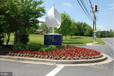 138 Cranes Crook Lane, Annapolis, MD 21401 - Photo 60