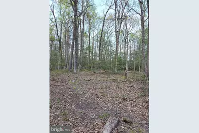 2577 Rutland Road, Davidsonville, MD 21035 - Photo 14