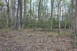 2577 Rutland Rd, Davidsonville, MD 21035 - Photo 14