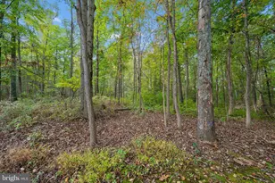8218 Anglers Edge Ct, Glen Burnie, MD 21060 - Photo 98