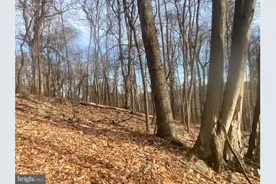 14600 Williams Road SE, Cumberland, MD 21502 - Photo 98