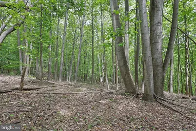 14600 Williams Road SE, Cumberland, MD 21502 - Photo 46