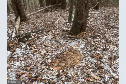 14600 Williams Road SE, Cumberland, MD 21502 - Photo 102