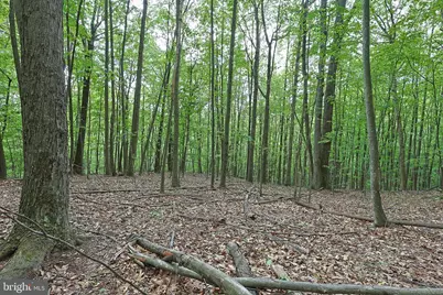 14600 Williams Road SE, Cumberland, MD 21502 - Photo 42