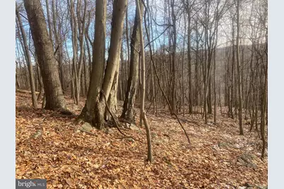 14600 Williams Road SE, Cumberland, MD 21502 - Photo 96