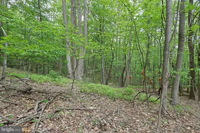 14600 Williams Road SE, Cumberland, MD 21502 - Photo 38