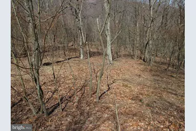 16334 Laurelhurst Boulevard, Cresaptown, MD 21502 - Photo 4