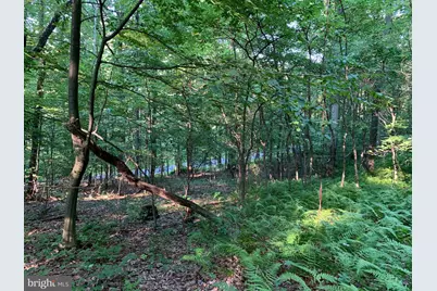 Old Hancock Road, Cumberland, MD 21502 - Photo 10