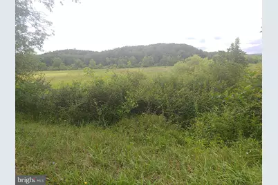 Bear Hill Road, Oldtown, MD 21555 - Photo 4