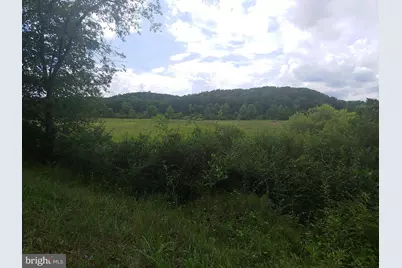 Bear Hill Road, Oldtown, MD 21555 - Photo 8