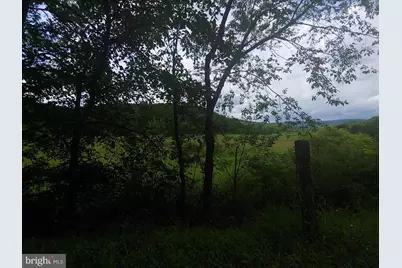 Bear Hill Road, Oldtown, MD 21555 - Photo 6