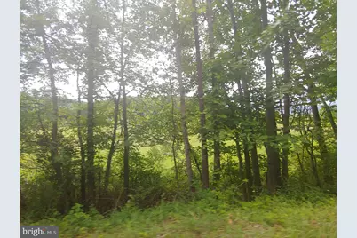 Bear Hill Road, Oldtown, MD 21555 - Photo 1