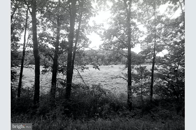 Bear Hill Road, Oldtown, MD 21555 - Photo 2