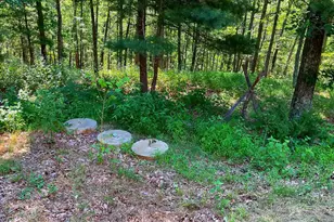 13200 Crossover Rd NE, Flintstone, MD 21530 - Photo 16