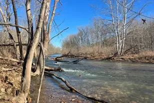 13900 Schellsburg Rd, Ellerslie, MD 21529 - Photo 54