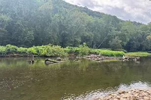 13900 Schellsburg Rd, Ellerslie, MD 21529 - Photo 58