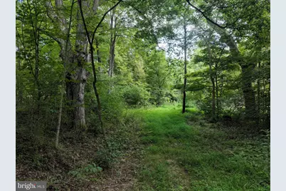 13900 Schellsburg Road, Ellerslie, MD 21529 - Photo 56