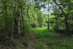 13900 Schellsburg Rd, Ellerslie, MD 21529 - Photo 56