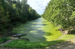 13900 Schellsburg Rd, Ellerslie, MD 21529 - Photo 20