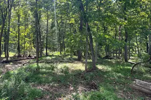 21923 Mallery Ln, Oldtown, MD 21555 - Photo 22