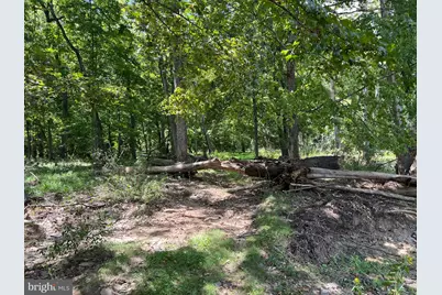 21923 Mallery Lane, Oldtown, MD 21555 - Photo 18