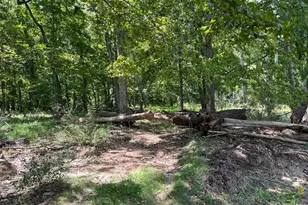 21923 Mallery Ln, Oldtown, MD 21555 - Photo 18