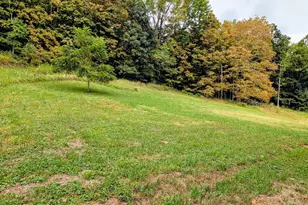 13512 Black Valley Road NE, Flintstone, MD 21530 - Photo 46