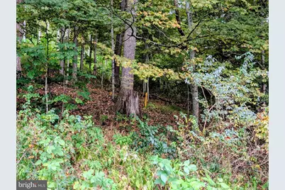 13512 Black Valley Road NE, Flintstone, MD 21530 - Photo 48