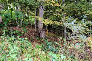 13512 Black Valley Road NE, Flintstone, MD 21530 - Photo 48