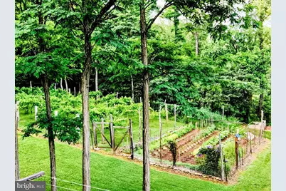 16805 Jericho Lane, Mount Savage, MD 21545 - Photo 58