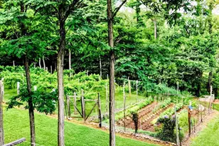 16805 Jericho Ln, Mount Savage, MD 21545 - Photo 58