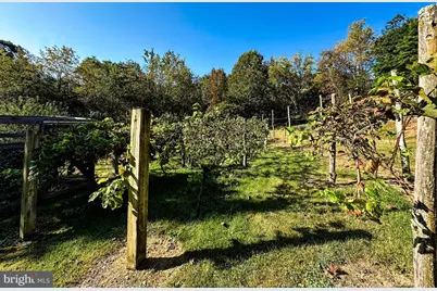 16805 Jericho Lane, Mount Savage, MD 21545 - Photo 46