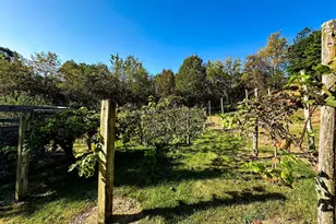 16805 Jericho Ln, Mount Savage, MD 21545 - Photo 46