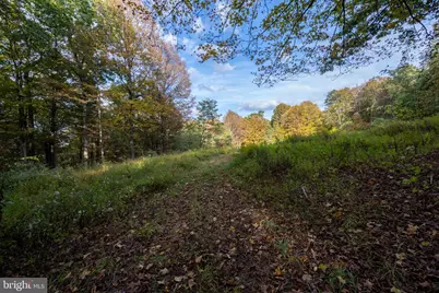 15800 Sprucewood Drive, Frostburg, MD 21532 - Photo 40