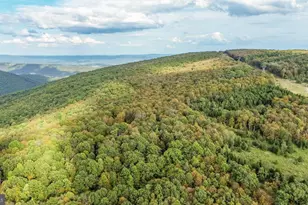 15800 Sprucewood Dr, Frostburg, MD 21532 - Photo 54