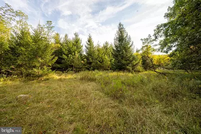 15800 Sprucewood Drive, Frostburg, MD 21532 - Photo 48