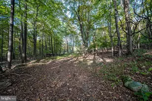 15800 Sprucewood Dr, Frostburg, MD 21532 - Photo 36